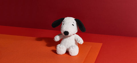 BON TON TOYS x PEANUTS