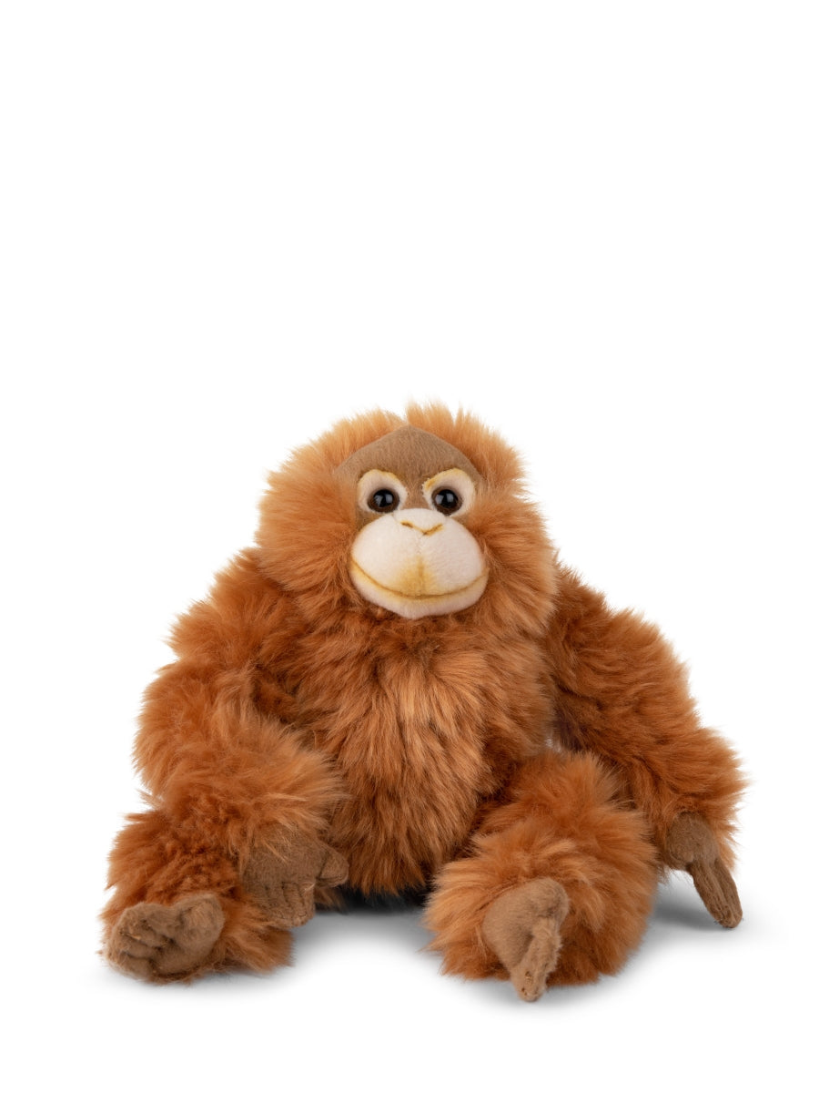 Cuddly orangutan on sale