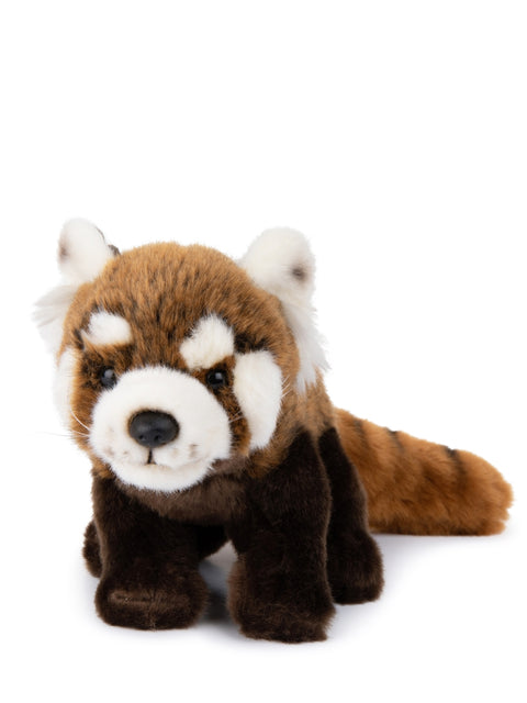 WWF Red Panda 23 cm - 9'' | Black / White