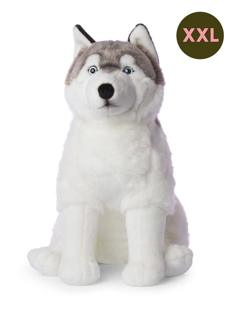 Husky GIANT 70 cm - 27,5'' | Grey / White