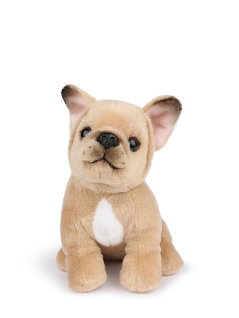 B.T. Chaps Philippe the French Bulldog 17 cm - 7'' | Beige